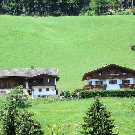 Appartamento Zellerhof Finkenberg Esterno foto